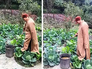 �Լ����ַ�����ʳ��������������