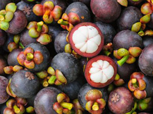 �����ϻ���������������ﻹ����