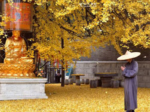 ��̹��£�˭���Ǵ����ˣ�